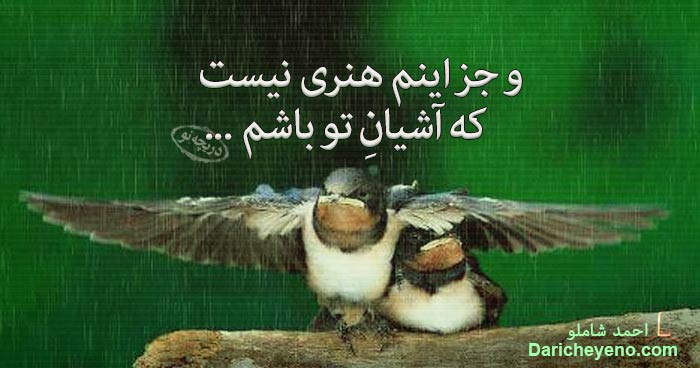 http://s6.picofile.com/file/8237383676/Beautiful_Love_Poems_22.jpg