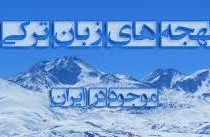 فرهنگستان زبان