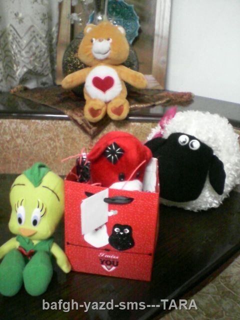 کادو روز ولنتاین تارا