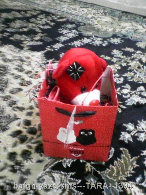 کادو روز ولنتاین تارا