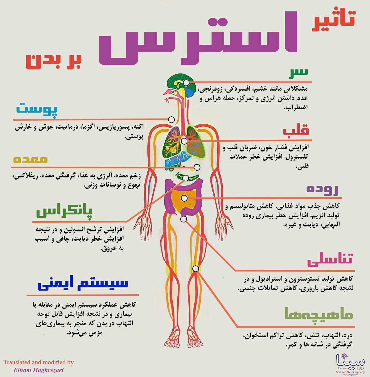 http://s6.picofile.com/file/8239199600/%D8%AA%D8%A7%D8%AB%DB%8C%D8%B1%D8%A7%D8%B3%D8%AA%D8%B1%D8%B3.jpg