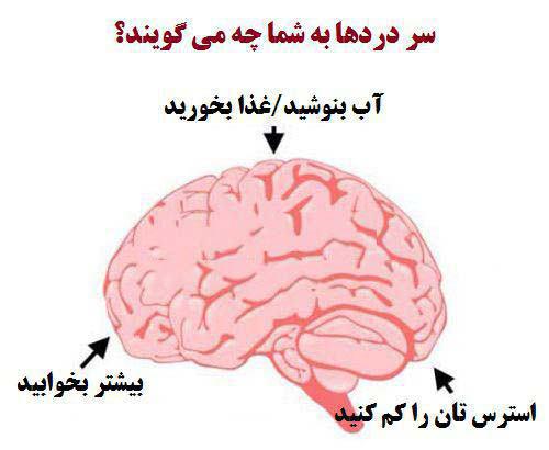 http://s6.picofile.com/file/8240342926/%D8%B3%D8%B1%D8%AF%D8%B1%D8%AF%D9%87%D8%A7%D8%A8%D9%87.jpg