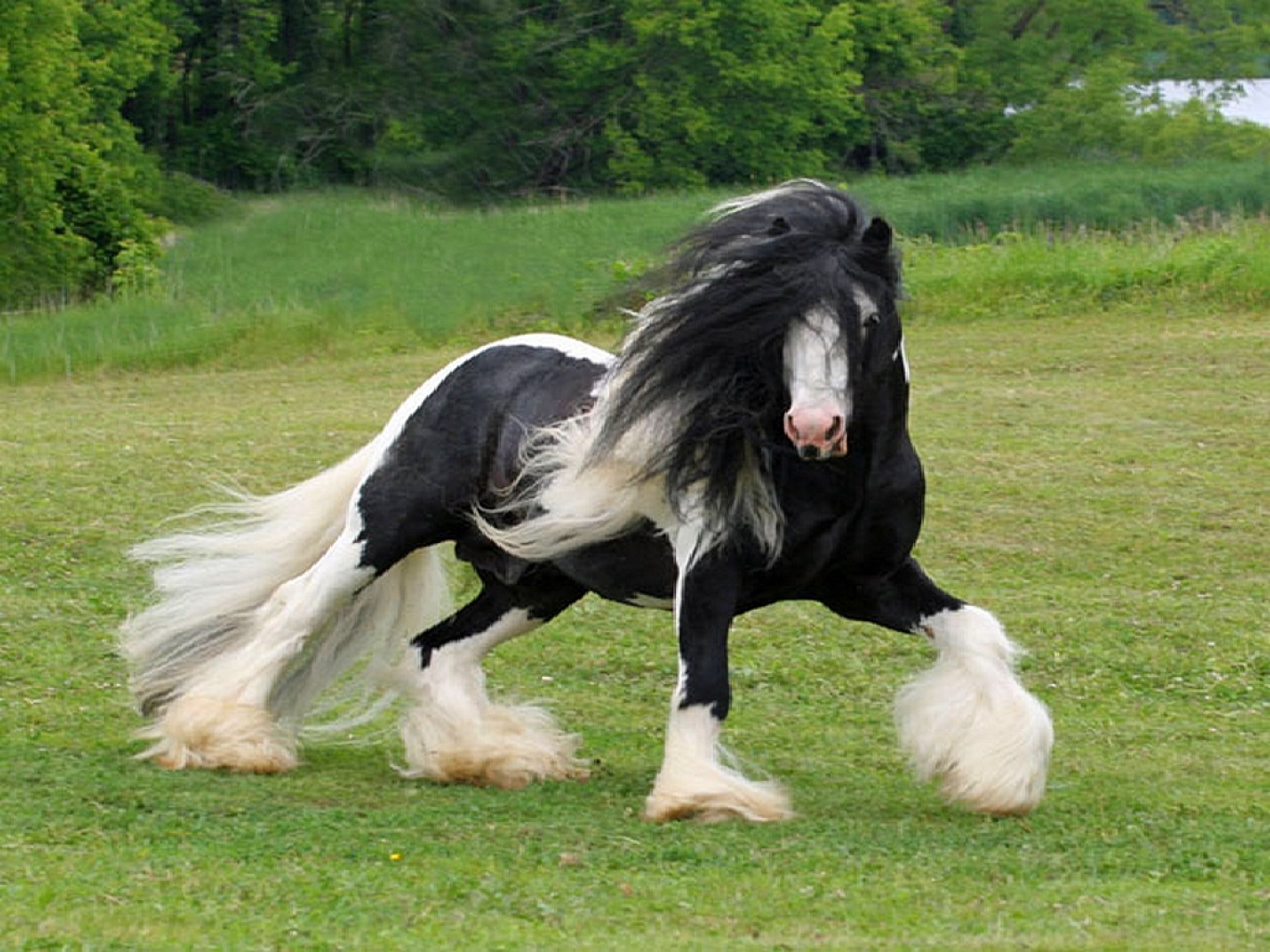 به روز