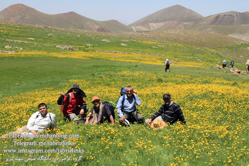 کوه سهند