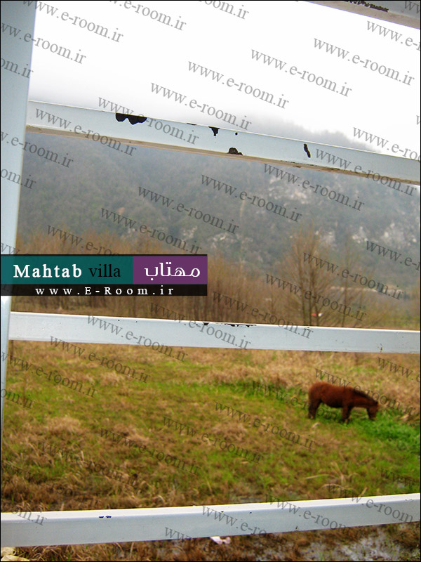 ویلا برای اجاره ejareh vila jangali