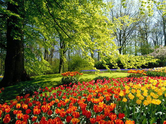 جمهوری آذربایجان