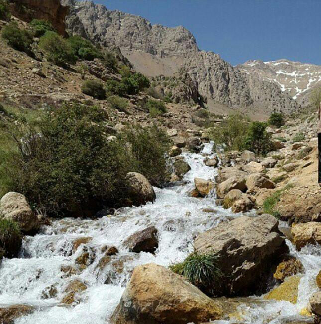 استان کهکیلویه و بویراحمد- یاسوج -چشمه میشی