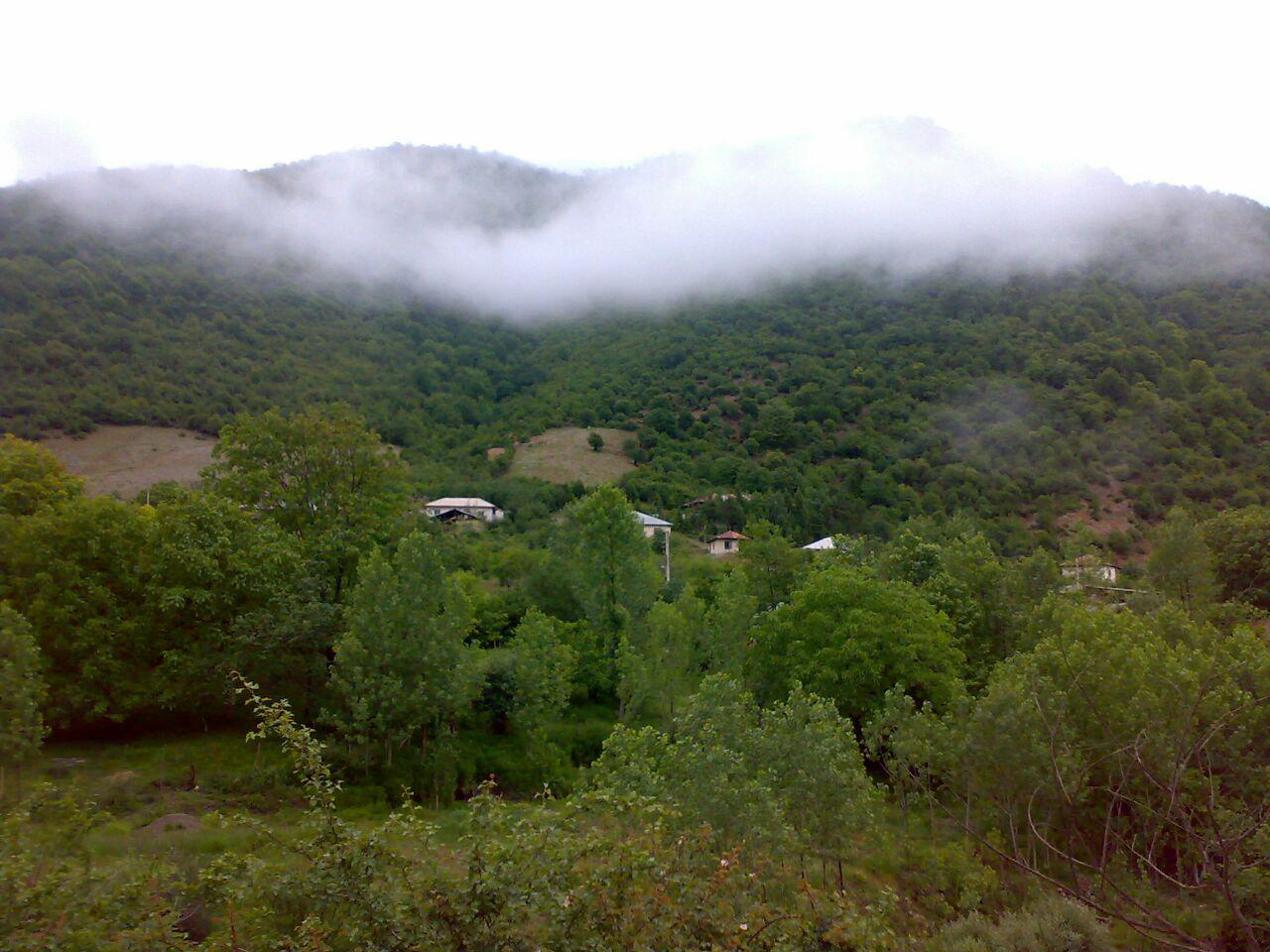  منطقه ییلاقی ویسر نوشهر- مازندران