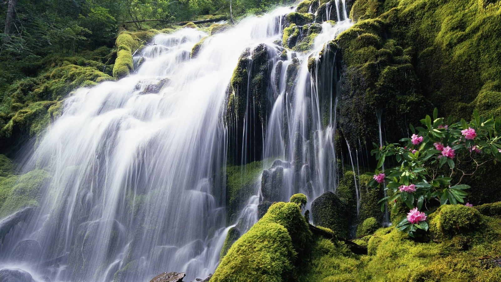 [تصویر:  waterfall_perfect_nature_water_z_1250465.jpg]