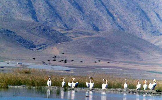 دریاچه پریشان - شهرستان کازرون - استان فارس