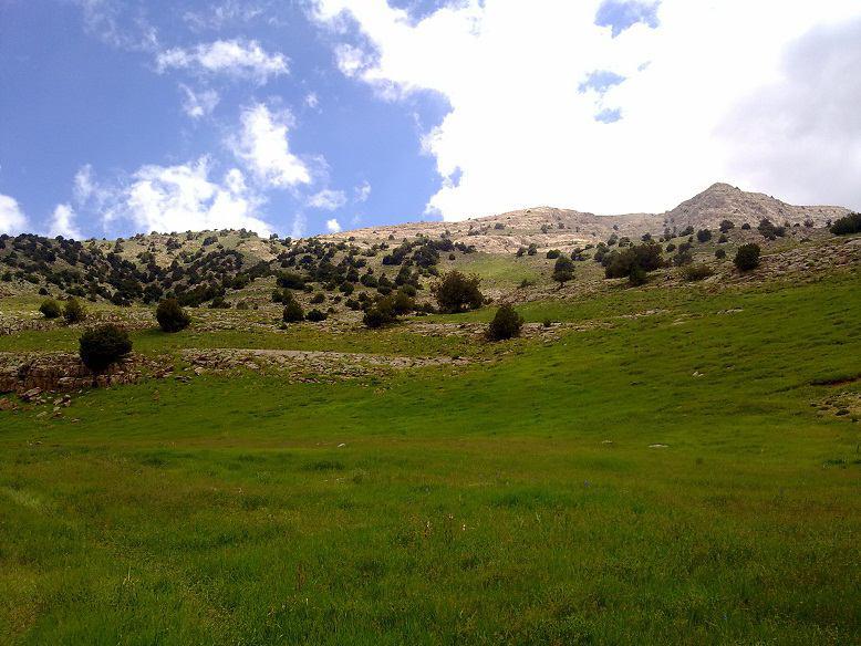 منطقه حفاظت شده گلیل - شیروان - استان خراسان شمالی