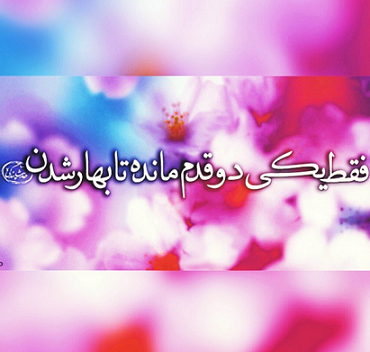 نــوروز گاه