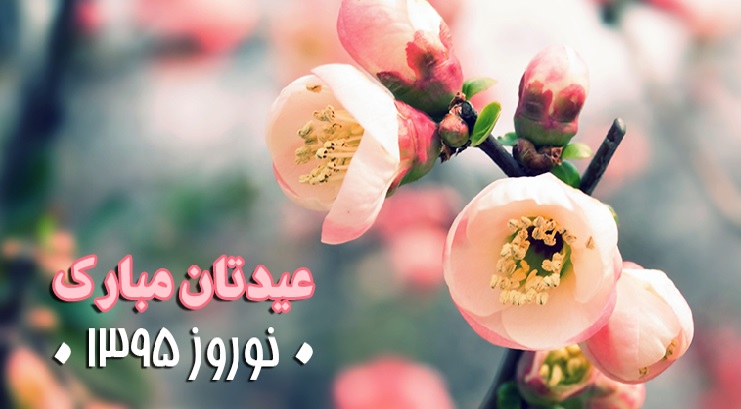 سواد رسانه ای سواد رسانه ای