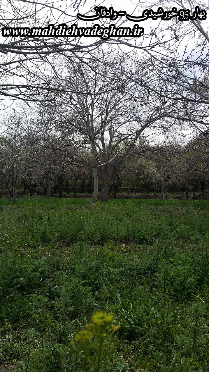 http://s6.picofile.com/file/8244685600/baharvadeghan.jpg