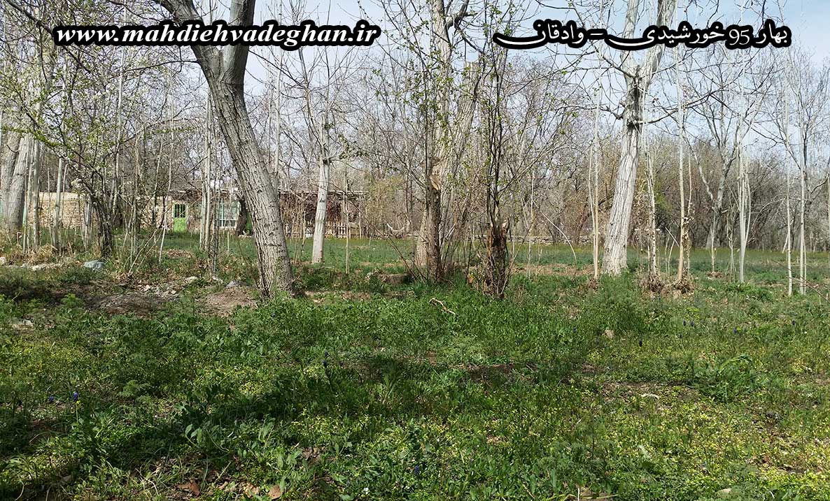 http://s6.picofile.com/file/8244686276/baharvadeghan2.jpg