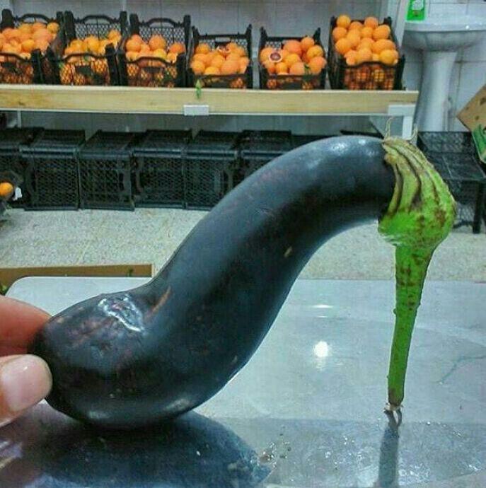 http://s6.picofile.com/file/8244876118/%D8%A8%D8%A7%D8%AF%D9%85%D8%AC%D8%A7%D9%86.jpg