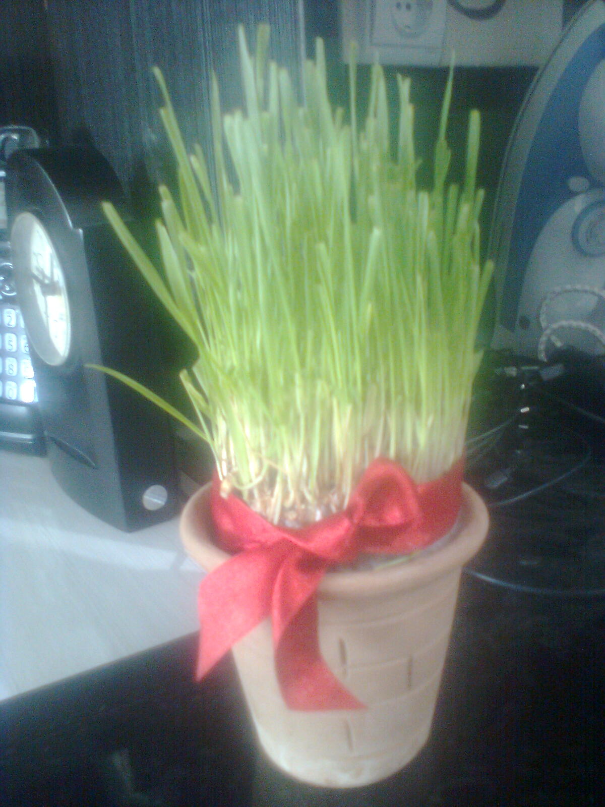 پاسخ به:سبزه های نوروزی