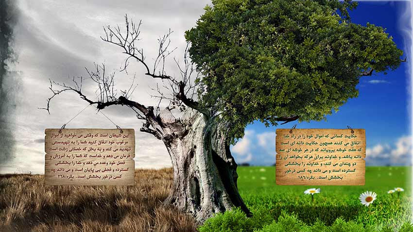 ارزش انفاق از دیدگاه قرآن و روایات - مقالات اجتماعی