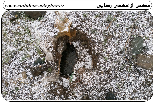http://s6.picofile.com/file/8245654884/%D8%B1%D9%88%D8%B2_%D8%B7%D8%A8%DB%8C%D8%B9%D8%AA_%D9%88%D8%A7%D8%AF%D9%82%D8%A7%D9%8695_jpg4.jpg