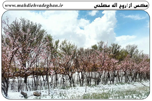http://s6.picofile.com/file/8245654942/%D8%B1%D9%88%D8%B2_%D8%B7%D8%A8%DB%8C%D8%B9%D8%AA_%D9%88%D8%A7%D8%AF%D9%82%D8%A7%D9%8695_jpg7.jpg