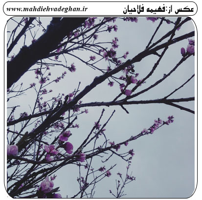 http://s6.picofile.com/file/8245654976/%D8%B1%D9%88%D8%B2_%D8%B7%D8%A8%DB%8C%D8%B9%D8%AA_%D9%88%D8%A7%D8%AF%D9%82%D8%A7%D9%8695_jpg9.jpg