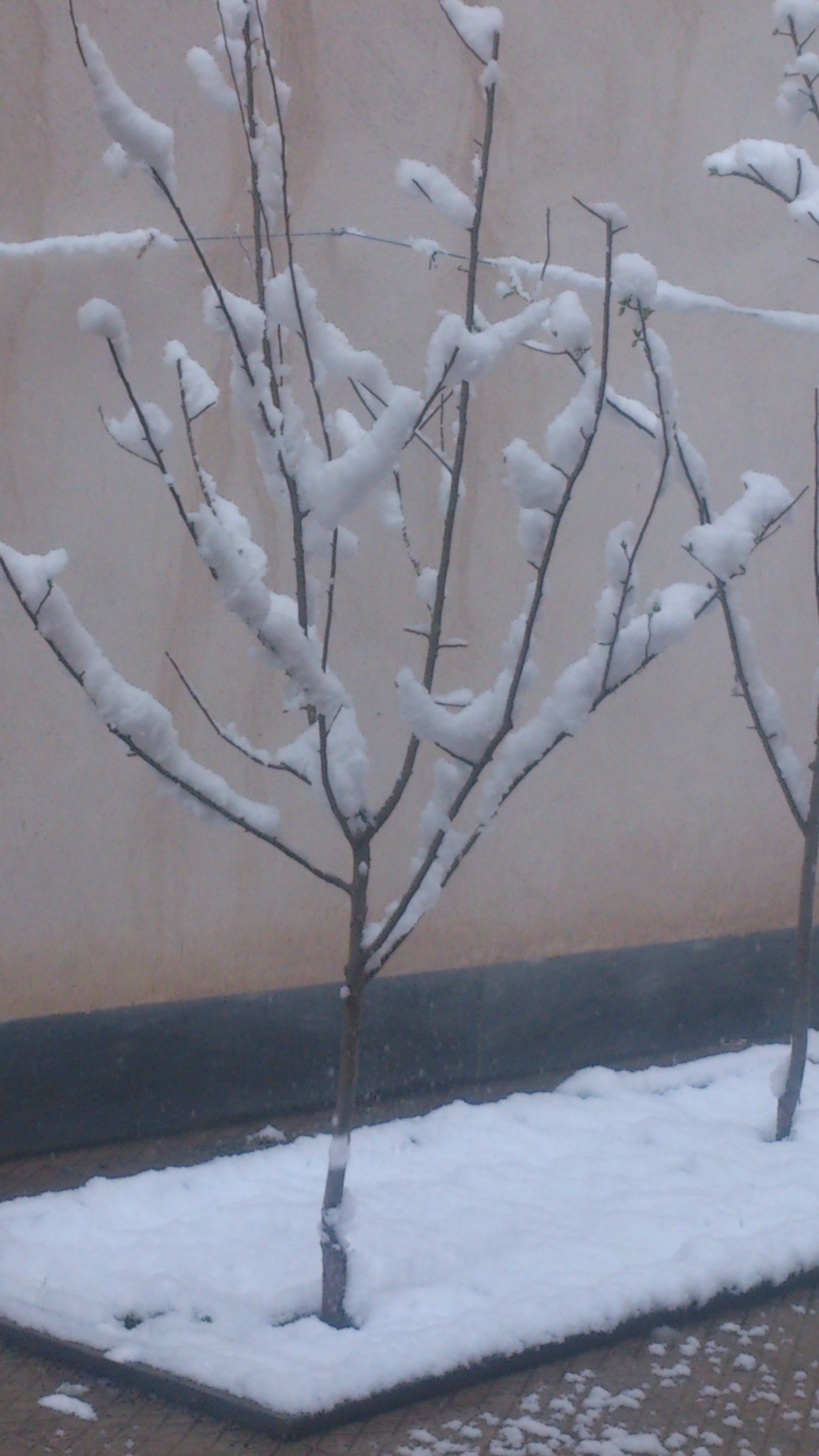 http://s6.picofile.com/file/8245770092/DSC_0003.JPG