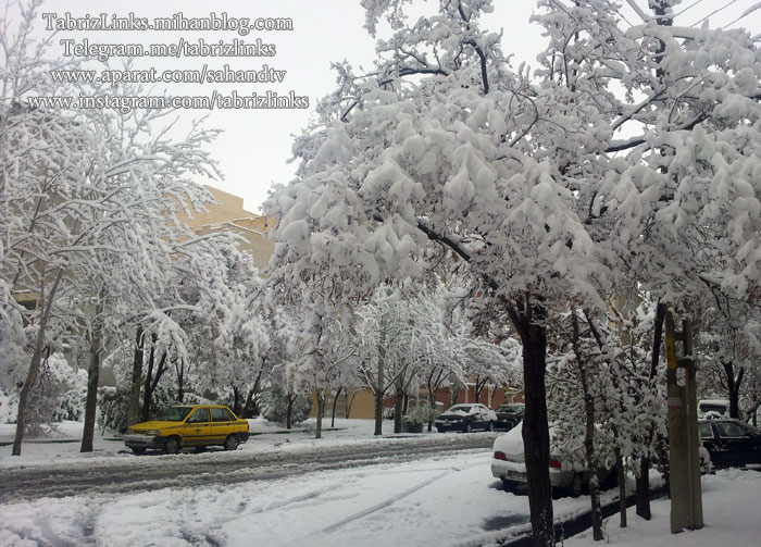 تبریز