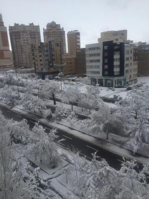 جاده ائل گلی