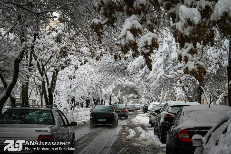 تبریز