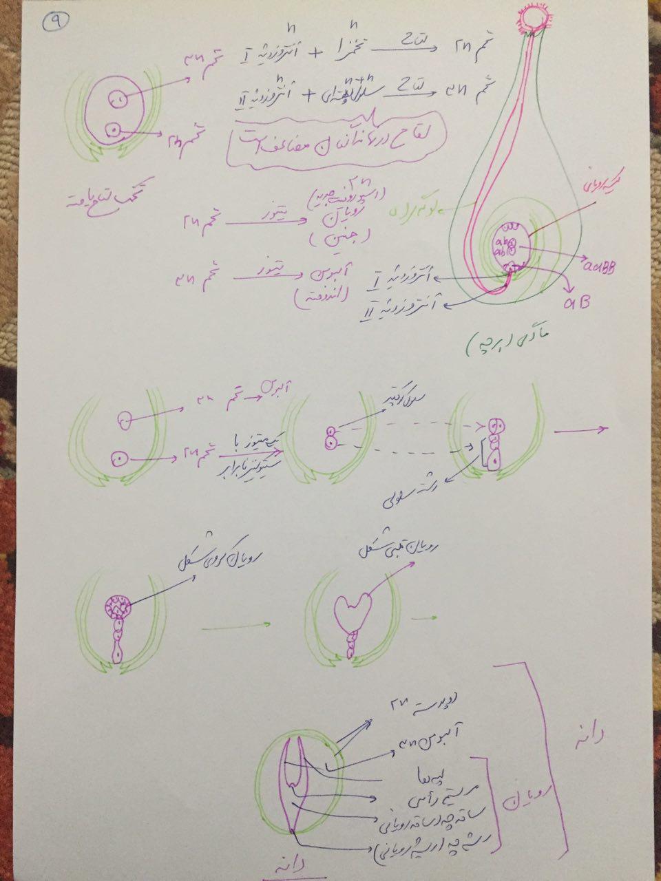 تالارگفتمان 5