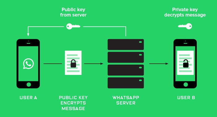 Whatsapp,امنیت واتس اپ,رمزنگاری,رمزنگاری اطلاعات,اپلیکیشن واتس اپ,سرویس واتس اپ,رمز نگاری پیام ها,رمز نگاری پیام ها در واتساپ,آیا واتس آپ امن است,http://lineee.ir,whats app