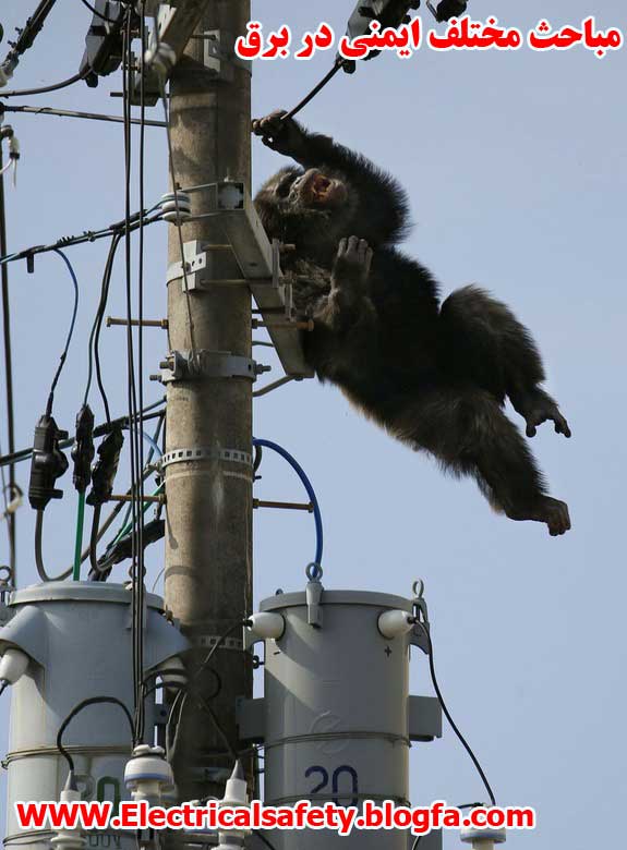 رضا نیک پیام، ایمنی برق ،Reza Nikpayam