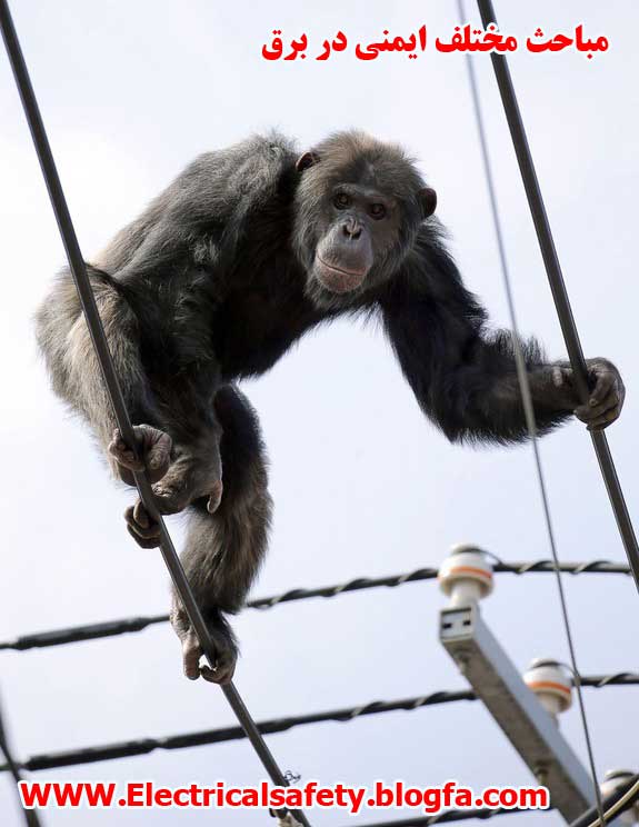 رضا نیک پیام، ایمنی برق ،Reza Nikpayam