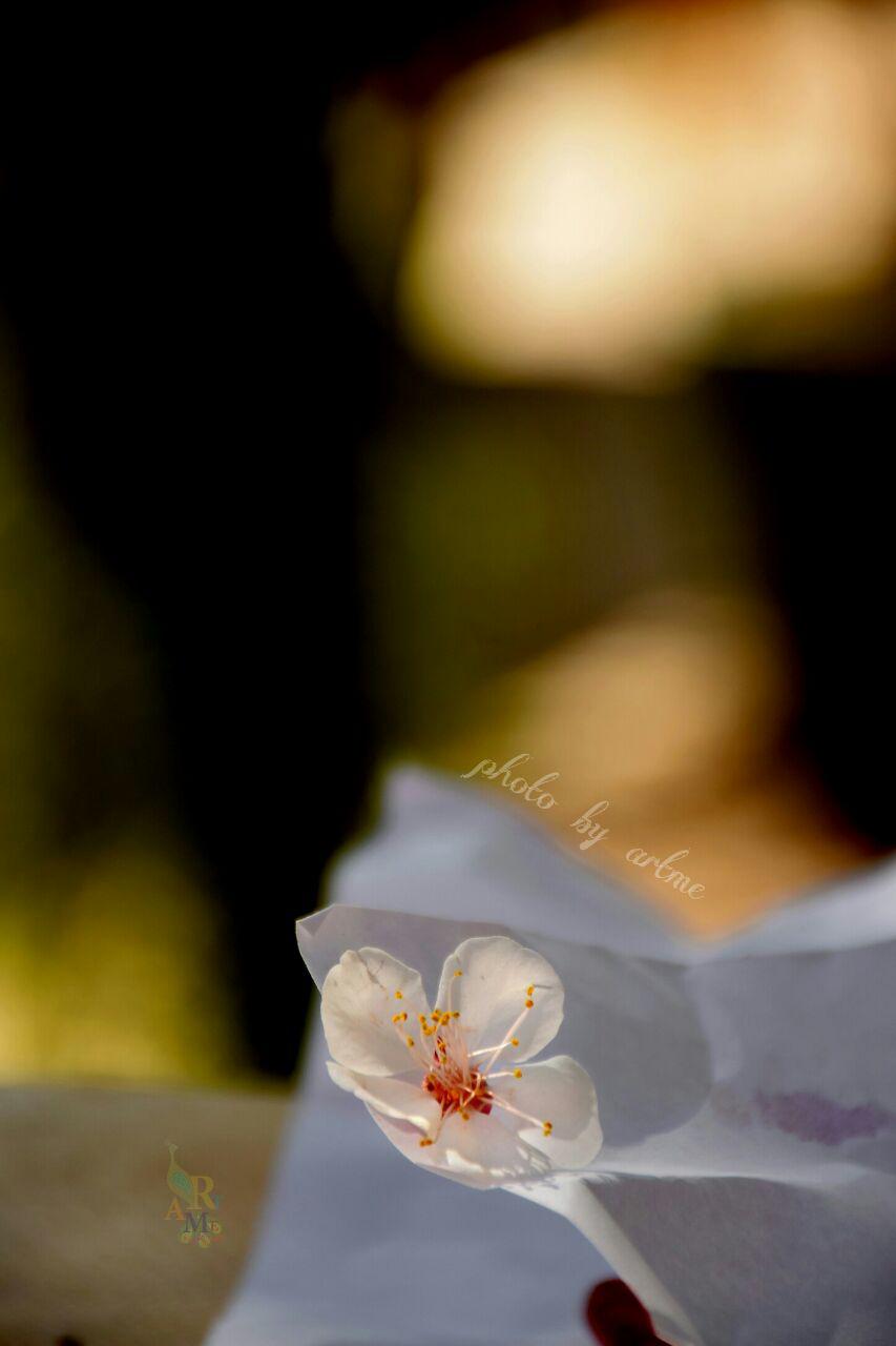 http://s6.picofile.com/file/8247411242/photo_2016_04_16_12_18_47.jpg