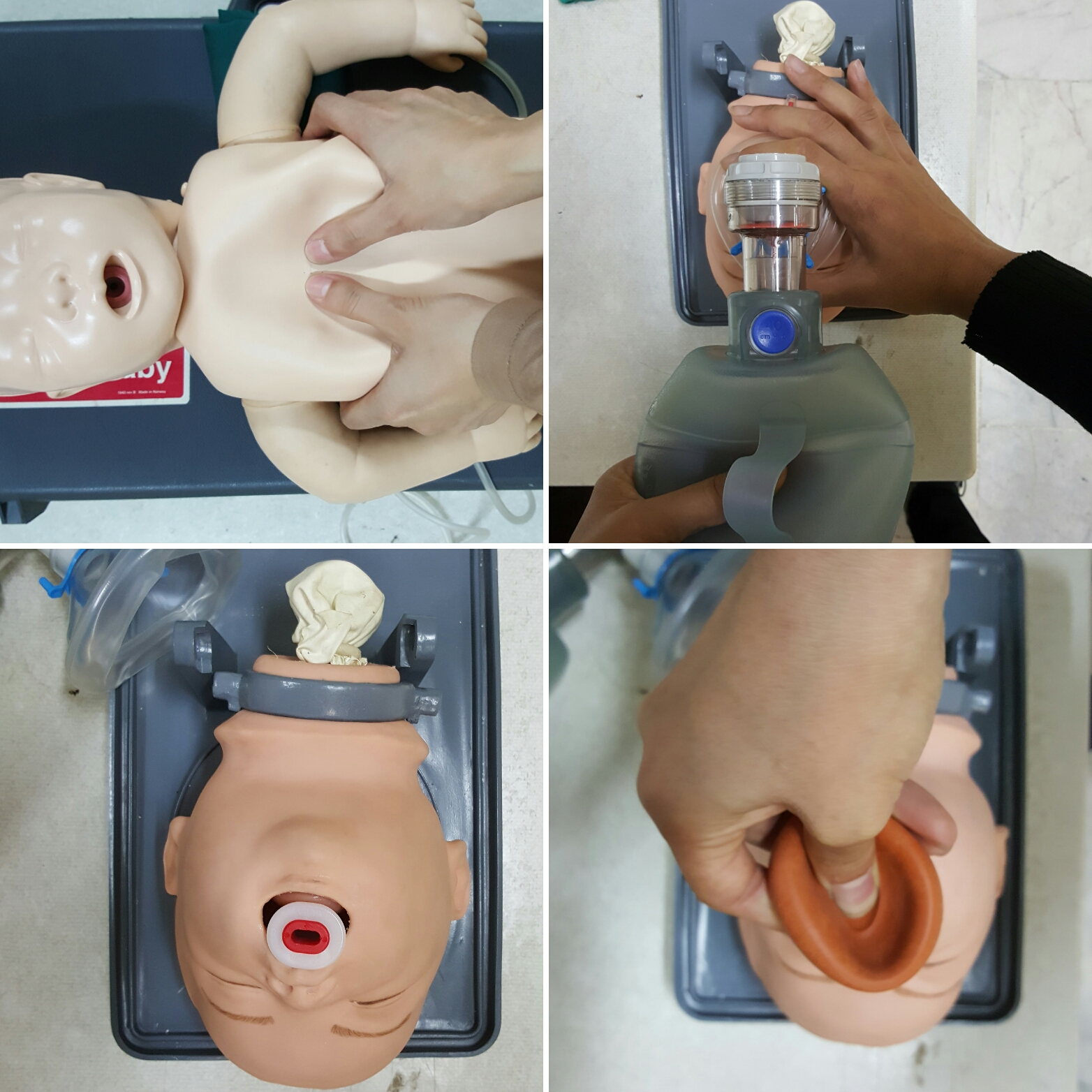 کارگاه احیا