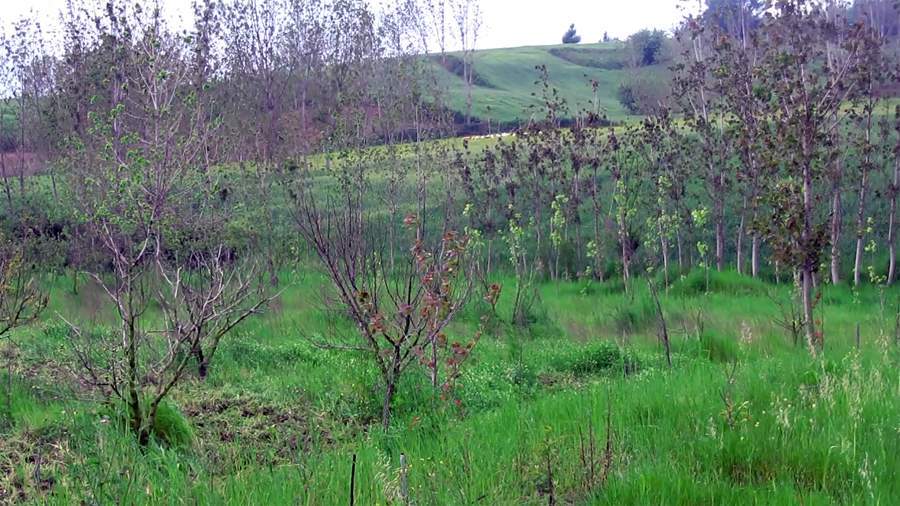 9_13_.jpg (900×506)