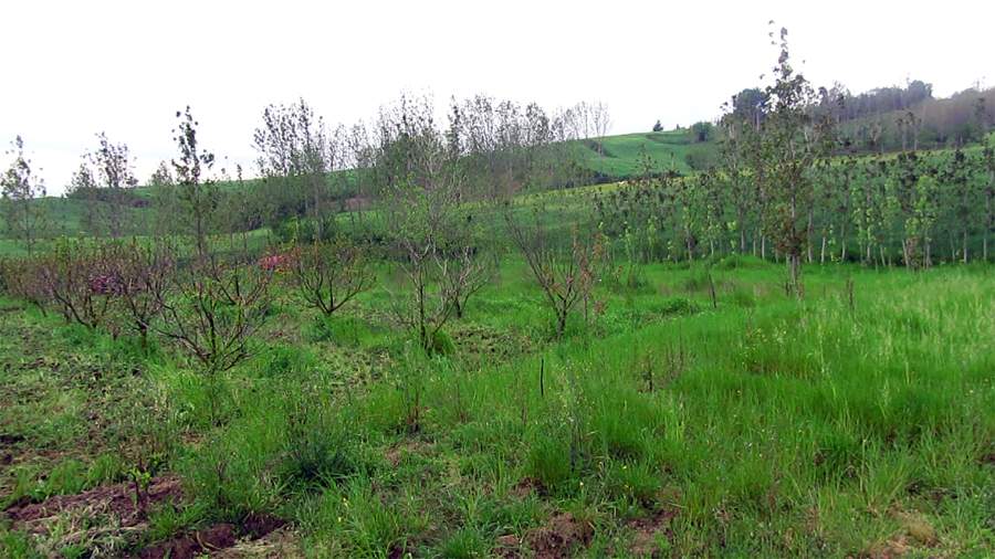 9_15_.jpg (900×506)