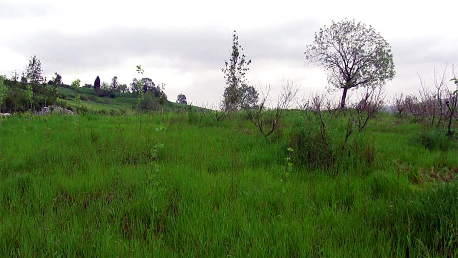 9_17_.jpg (900×506)