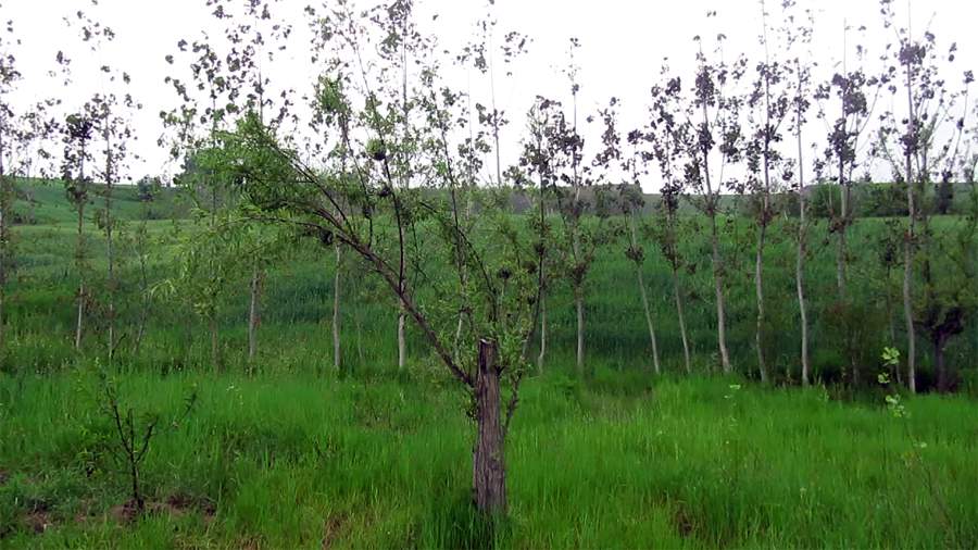 9_21_.jpg (900×506)