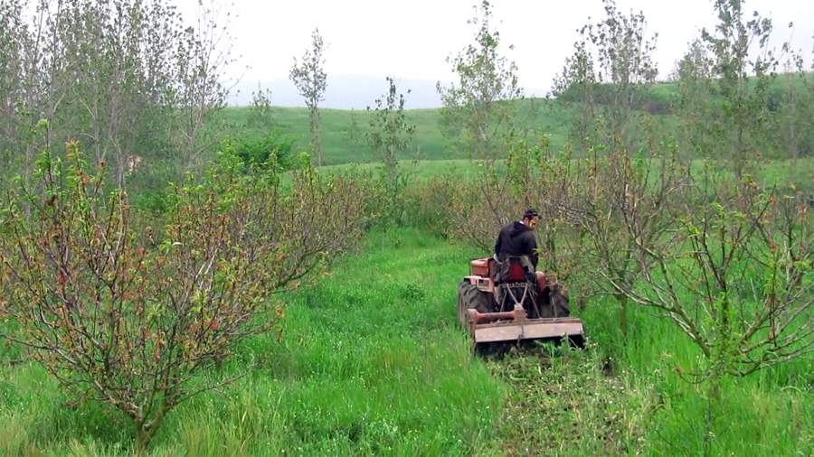 9_22_.jpg (900×506)