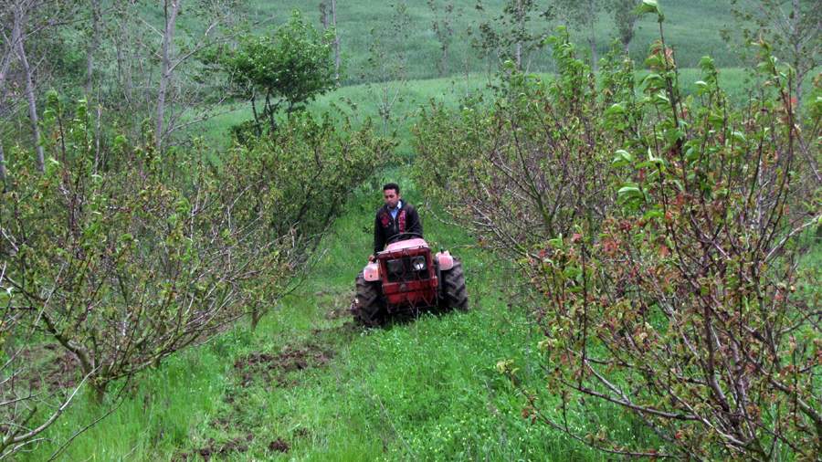 9_26_.JPG (900×506)