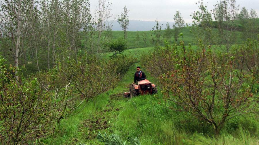 9_27_.JPG (900×506)