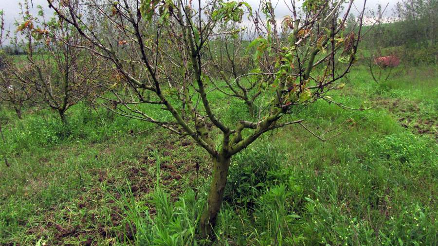 9_32_.JPG (900×506)