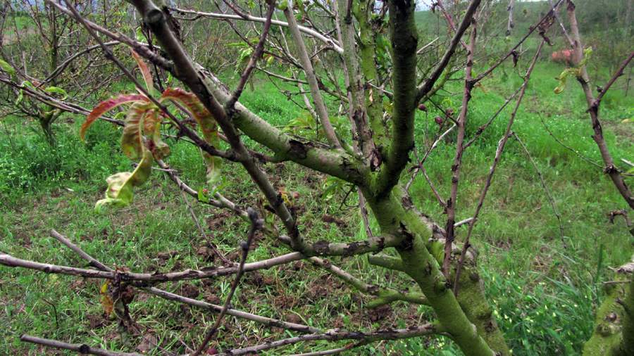 9_34_.JPG (900×506)