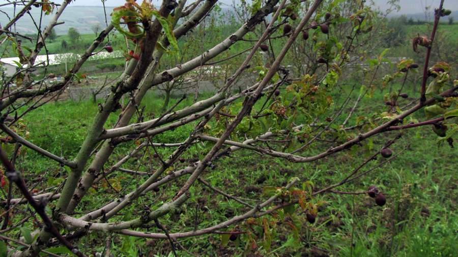 9_35_.JPG (900×506)