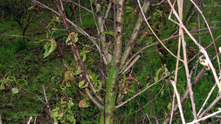 9_38_.JPG (900×506)