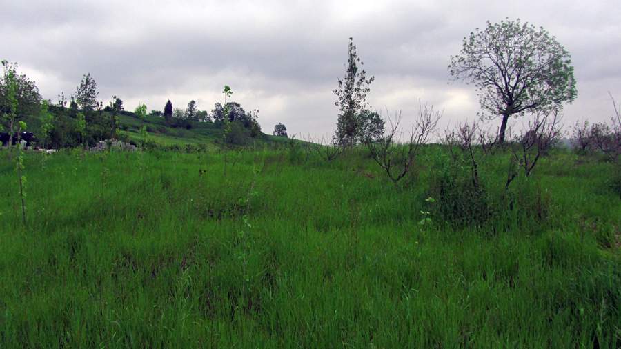 9_45_.JPG (900×506)