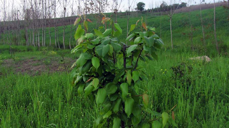 3_12_.jpg (900×506)