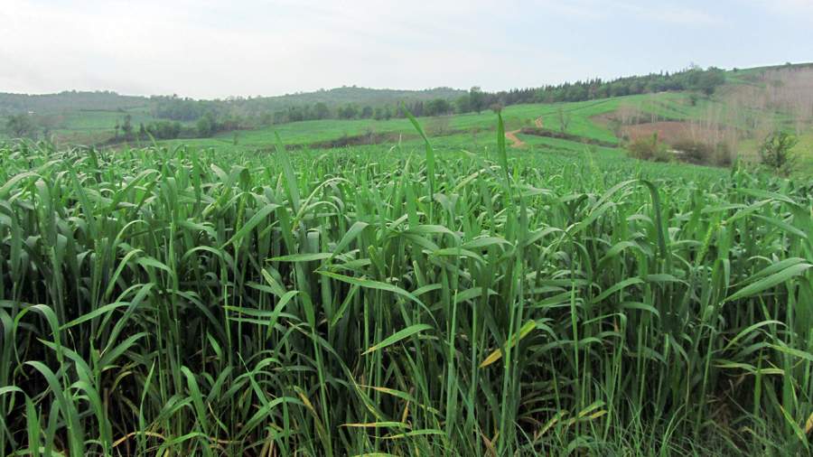 3_13_.jpg (900×506)