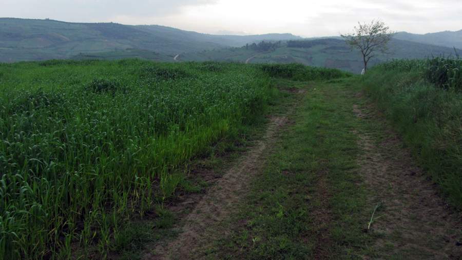 3_15_.jpg (900×506)